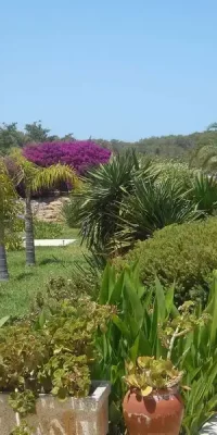 Preciosa villa en la encantadora zona de San Agustín con un gran jardín