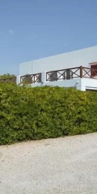 Preciosa villa en la encantadora zona de San Agustín con un gran jardín