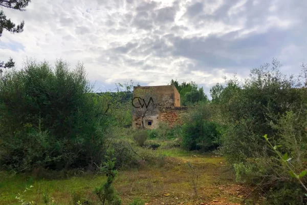 Gelegenheit in San Agustin – 72.000 m² großes Grundstück mit Ruinen- und Meerblick