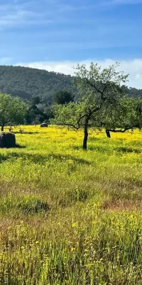 Finca auténtica aislada en 136.000 m2 de terreno en San Rafael Ibiza