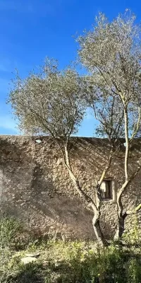 Finca auténtica aislada en 136.000 m2 de terreno en San Rafael Ibiza