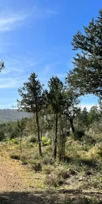 Finca auténtica aislada en 136.000 m2 de terreno en San Rafael Ibiza