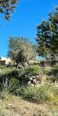 Finca auténtica aislada en 136.000 m2 de terreno en San Rafael Ibiza