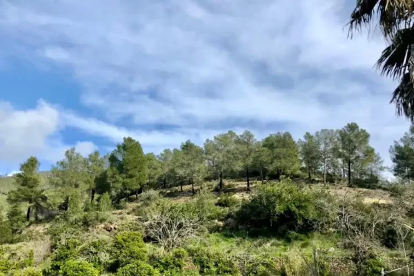 Por qué invertir en una propiedad en Ibiza?
