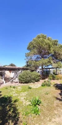 Prachtige villa te koop in het hart van Cala Saona