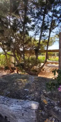 Prachtige villa te koop in het hart van Cala Saona