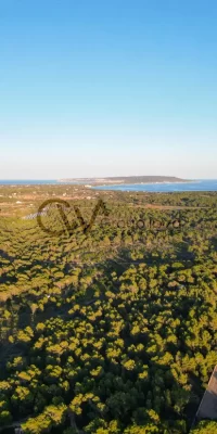 Beautiful luxury villa near to the stunning Cala Saona beach in Formentera