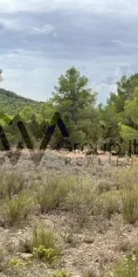 Terreno eccezionale per due lussuose ville con vista panoramica sul mare e tramonto a Cala Tarida