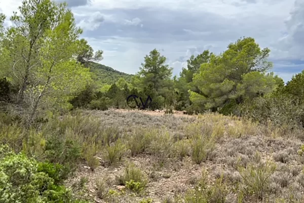 Terreno eccezionale per due lussuose ville con vista panoramica sul mare e tramonto a Cala Tarida