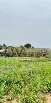 Uitzonderlijk rustiek land met bouwvergunning nabij Santa Gertrudis