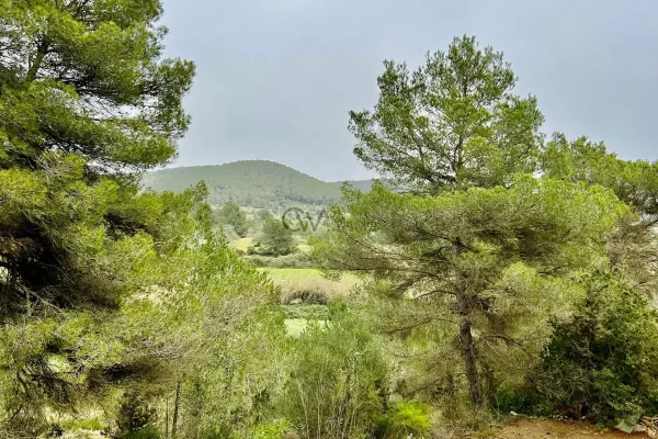 Eccezionale terreno rustico con licenza di costruire vicino a Santa Gertrudis