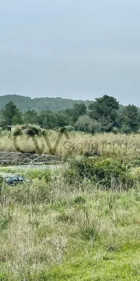 Uitzonderlijk rustiek land met bouwvergunning nabij Santa Gertrudis