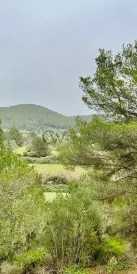Exklusives Grundstück mit Lizenz zum Verkauf in San Carlos – unvergleichliche Aussicht auf das Meer und die Landschaft