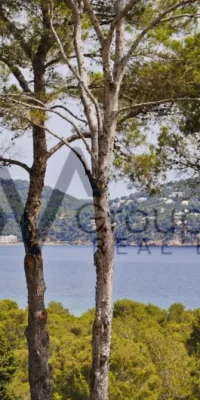 Exklusives Grundstück mit Lizenz zum Verkauf in San Carlos – unvergleichliche Aussicht auf das Meer und die Landschaft
