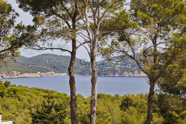 Terreno esclusivo con licenza in vendita a San Carlos – Vista impareggiabile sul mare e sulla campagna