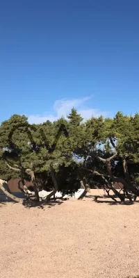 Magnifica villa sull’incantevole isola di Formentera
