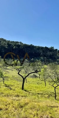 Rudere in vendita a San Rafael Ibiza – Ricostruisci un gioiello rustico in questa fantastica posizione
