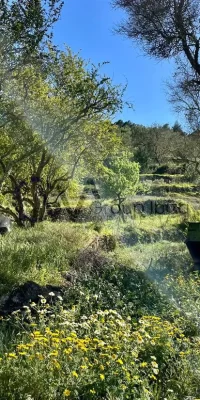 Rudere in vendita a San Rafael Ibiza – Ricostruisci un gioiello rustico in questa fantastica posizione