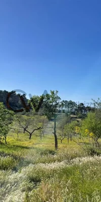 Rudere in vendita a San Rafael Ibiza – Ricostruisci un gioiello rustico in questa fantastica posizione