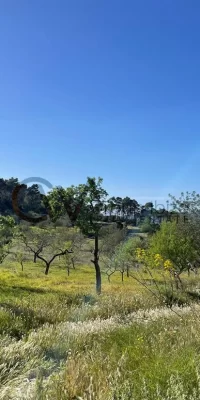 Rudere in vendita a San Rafael Ibiza – Ricostruisci un gioiello rustico in questa fantastica posizione