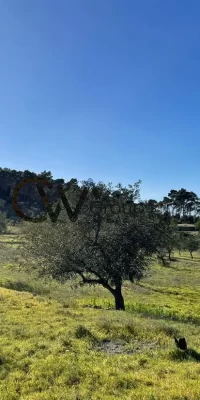 Rudere in vendita a San Rafael Ibiza – Ricostruisci un gioiello rustico in questa fantastica posizione