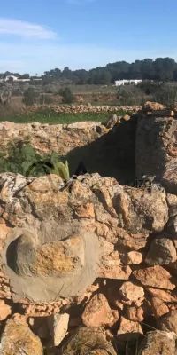 Traditioneel huis in Formentera-stijl te koop in de wijk Es Cap
