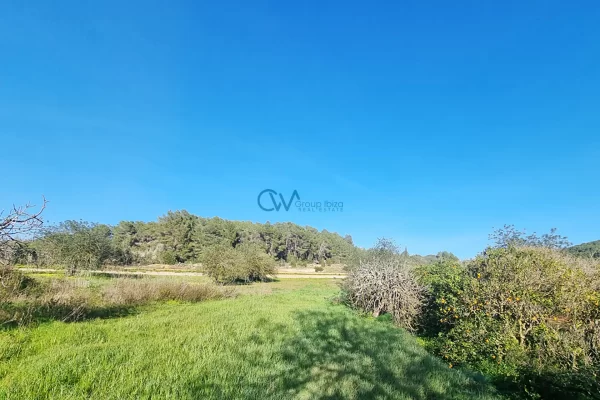 Due terreni edificabili contigui in vendita a Santa Gertrudis