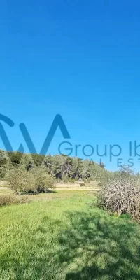 Twee aaneengesloten bouwkavels te koop in Santa Gertrudis