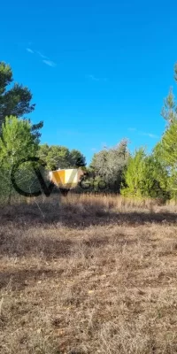 Twee aaneengesloten bouwkavels te koop in Santa Gertrudis