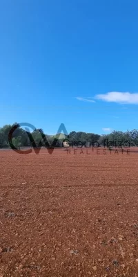 Twee aaneengesloten bouwkavels te koop in Santa Gertrudis