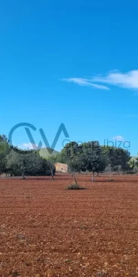 Twee aaneengesloten bouwkavels te koop in Santa Gertrudis