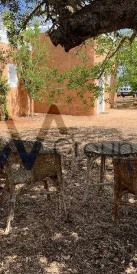 Unvergleichliche Abgeschiedenheit inmitten unberührter Natur mit Gästehaus bei Santa Gertrudis