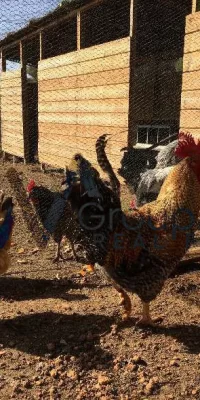 Unvergleichliche Abgeschiedenheit inmitten unberührter Natur mit Gästehaus bei Santa Gertrudis