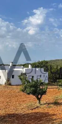 Unvergleichliche Abgeschiedenheit inmitten unberührter Natur mit Gästehaus bei Santa Gertrudis