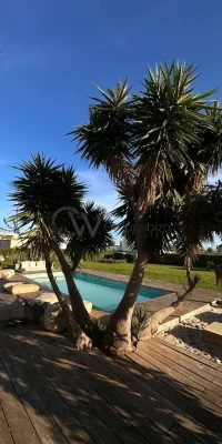 Wonderful villa located in the heart of Sant Jordi