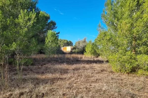 Drie bouwpercelen in Santa Gertrudis – uitstekende investeringskans!