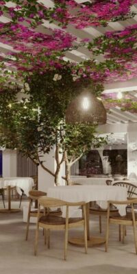 Investeringsmogelijkheid Restaurant