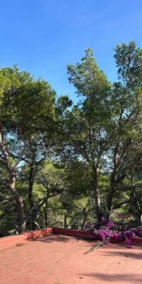 Casa a Cala Vadella con ampio terreno