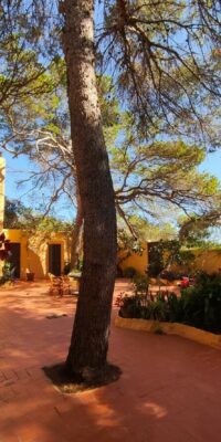 Résidence à fort potentiel d’occupation à Formentera