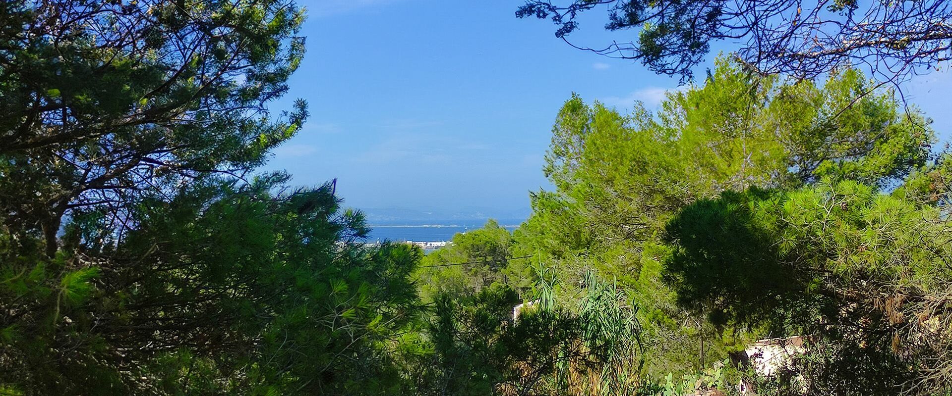 Residence with High Occupancy Potential in Formentera