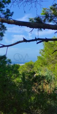 Résidence à fort potentiel d’occupation à Formentera
