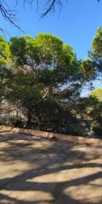 Résidence à fort potentiel d’occupation à Formentera