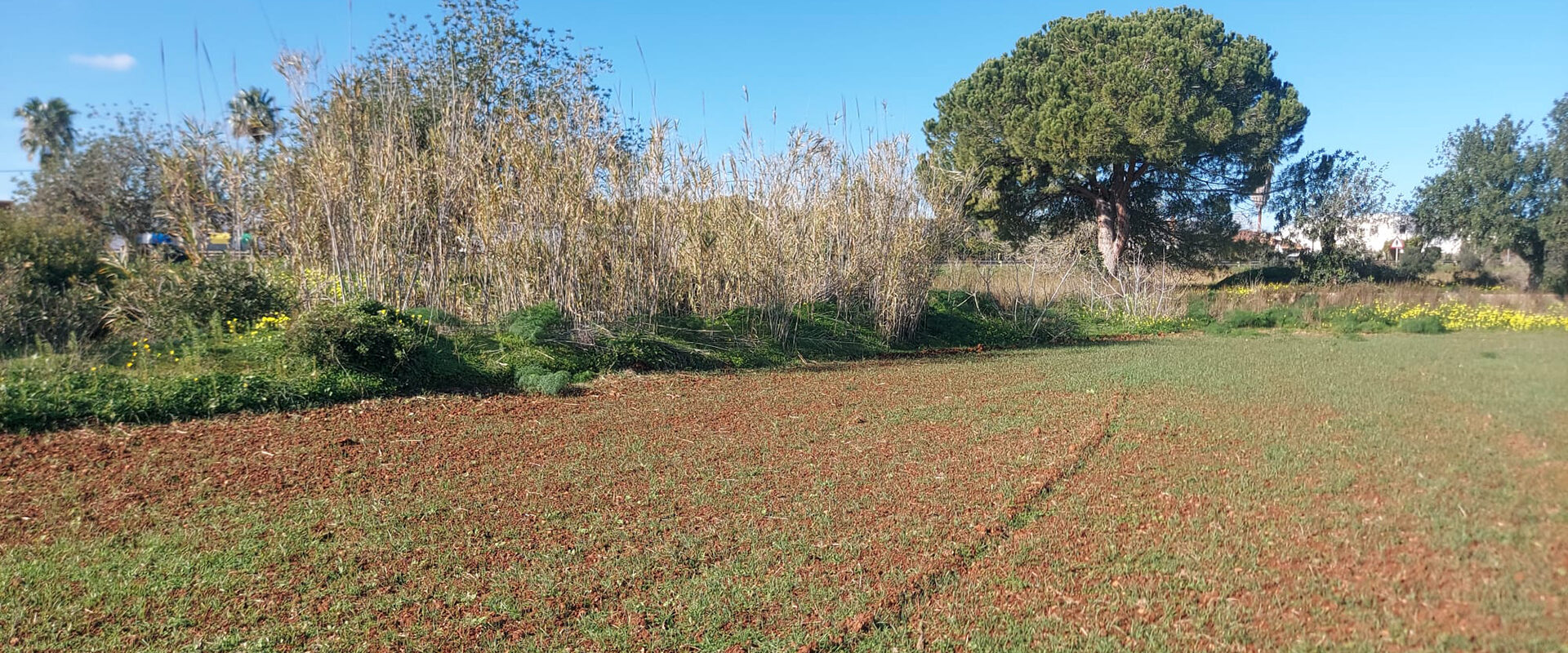 Expansive Plot of Land with Proyecto Básico Near San Lorenzo
