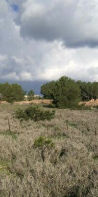 Terrain avec permis de construire accordé à El Pilar de la Mola