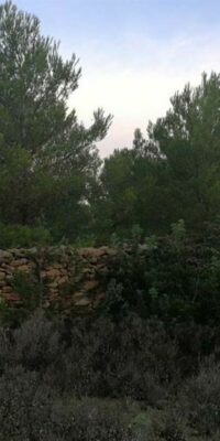 Terrain avec permis de construire accordé à El Pilar de la Mola