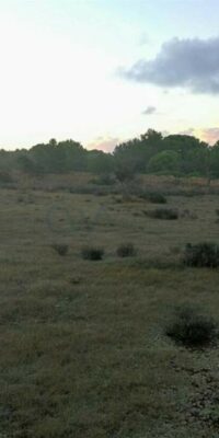 Terrain avec permis de construire accordé à El Pilar de la Mola
