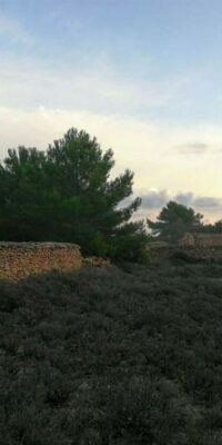 Terrain avec permis de construire accordé à El Pilar de la Mola