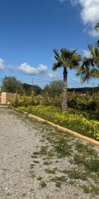 Encantadora casa de campo cerca de Santa Gertrudis