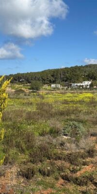Encantadora casa de campo cerca de Santa Gertrudis