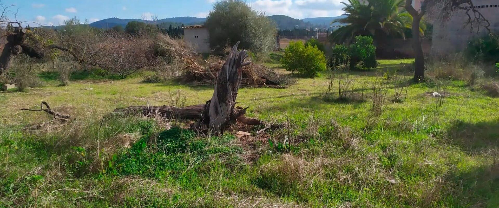 Exclusive Building Plot in Ses Paisses